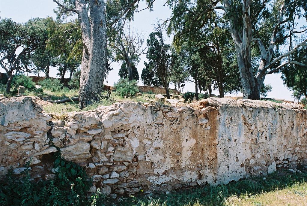 CIMETIERE SEPTEMBRE 2006 ARCOLE 01.jpg
